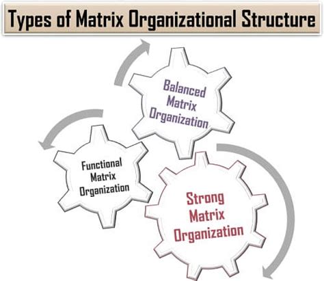 What is Matrix Organizational Structure? Definition, Roles, Features, Example, Diagram, Types ...