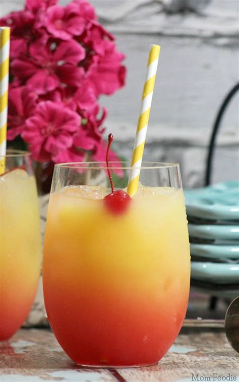 Summer Breeze Cocktail Recipe - Mom Foodie