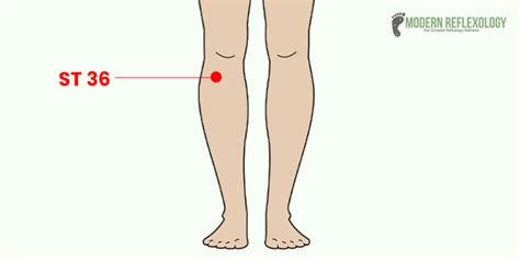 8 Acupressure Points to Relieve Jaw Tension and TMJ Issues