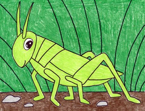 How to Draw a Grasshopper · Art Projects for Kids