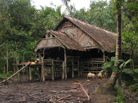 History of the Longhouse