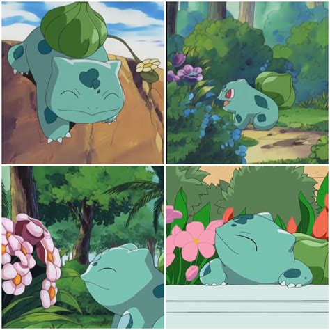 May's Bulbasaur loves flowers 🌺 : r/pokemonanime