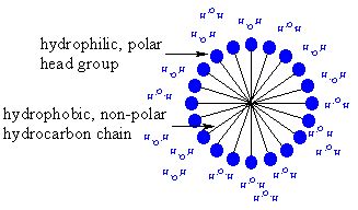 Ch26: Micelles