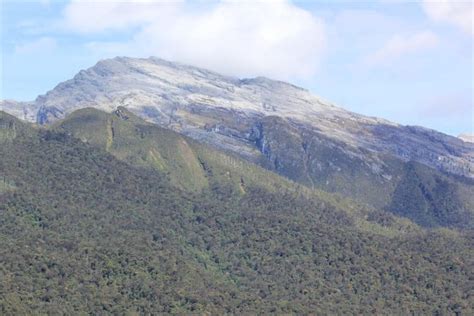 Gunung Emas dan Tembaga di "Perut Burung" Pegunungan Bintang Papua