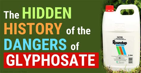 Monsanto Has Known Glyphosate Promotes Cancer Since 1981