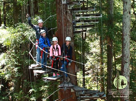 Tree Top Adventure: Zipline - Homegrown Adventures