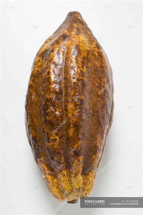 Fresh cacao fruit — fruits, exotic - Stock Photo | #151373248