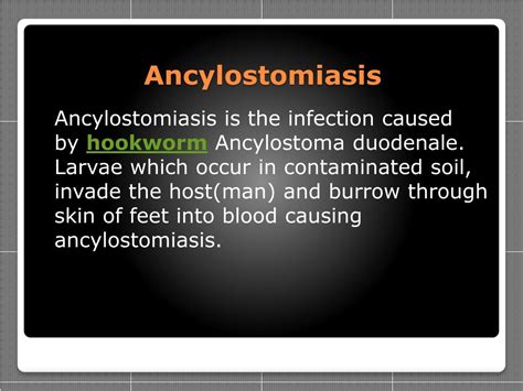 PPT - Ancylostomiasis - Symptoms, Treatments and Preventions PowerPoint ...