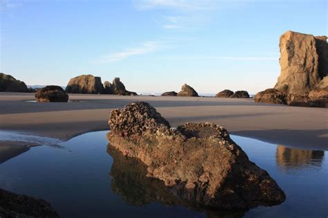 Why Move to Bandon? - The Bandon Guide