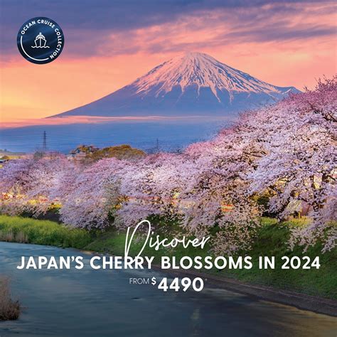 Flights + Tokyo Stay + Cherry Blossom Cruise | Japan, Tokyo | ALL ...