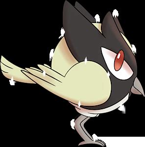 Pokemon 2821 Shiny Rookidee Pokedex: Evolution, Moves, Location, Stats