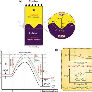 a) Schematic illustration of the model domain consisting of Li metal ...