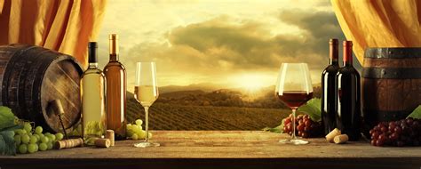 🔥 [40+] Wine Barrel Wallpapers | WallpaperSafari