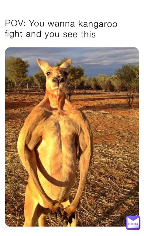 POV: You wanna kangaroo fight and you see this | @tree.nugget | Memes