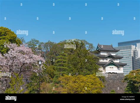 Cherry blossom in Tokyo Imperial Palace Stock Photo - Alamy