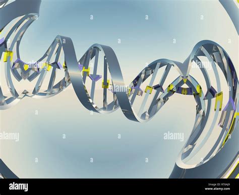 Digital art. DNA chain Stock Photo - Alamy