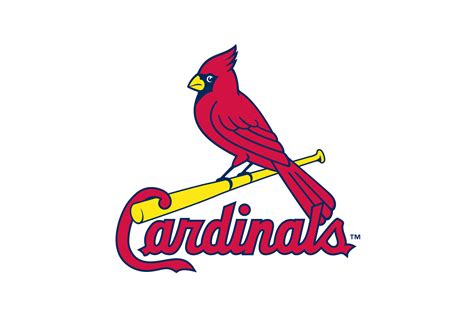 St Louis Cardinals Logo Vector Image | Paul Smith