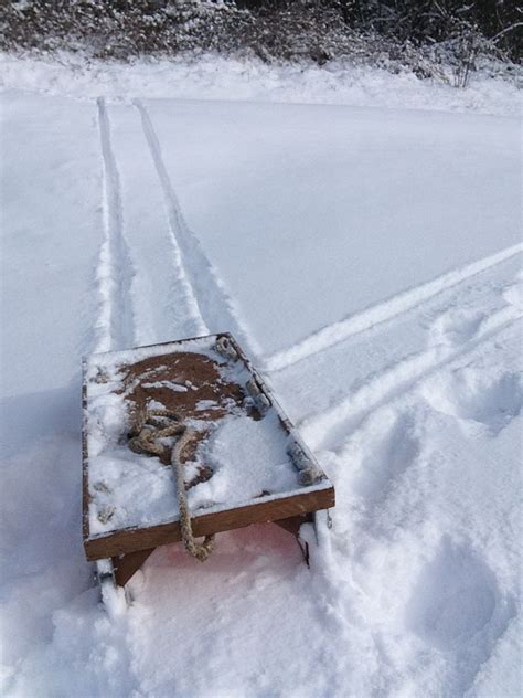 Homemade sledding device | Snowy pictures, Sled, Snowy