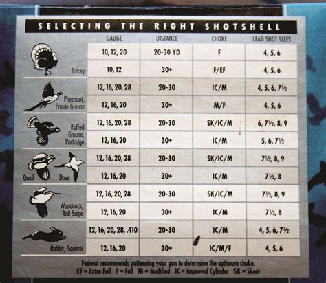 Shotgun shells explained - a case study - Sporting Shooters ...