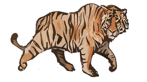 tigerwalk.gif - ClipArt Best - ClipArt Best