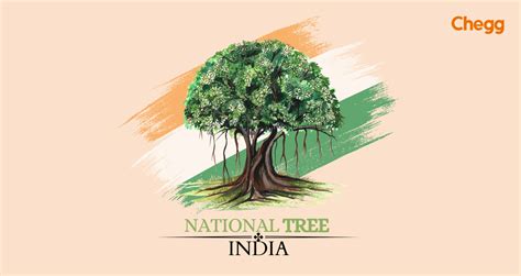 Fascinating Facts About National Tree Of India (2024)