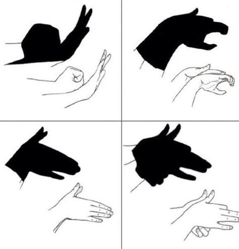 How to make simple hand shadows. Surprise your kids 🐶🐺🐭🐘🐗🐸🐒🐥🐠🐢🐇🐎🐀🐈🐌🐴🐰 ...