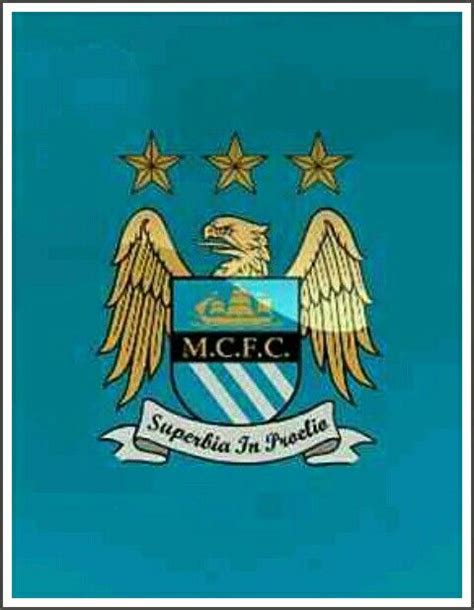 Man City crest. | Man city crest, Man, Character