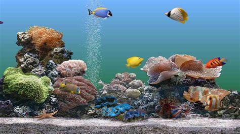 Perleputz: Aquarium Screensaver