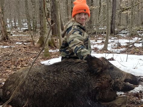 Boar Hunts - Pennsylvania Hunting Ranch