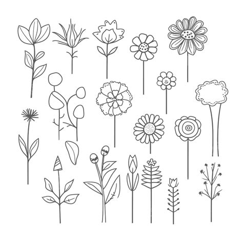 Tracing Flowers Set Vector Coloring Doodles Line Drawing Free Coloring Page Outline Sketch ...