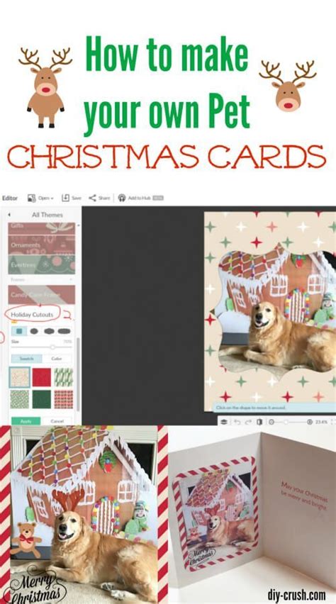 How To Make Holiday Greeting Cards With Pets - DIY Crush