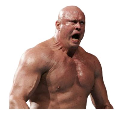 Image - Snitsky-Render.png - Pro Wrestling Wiki - Divas, Knockouts, Results, Match histories ...