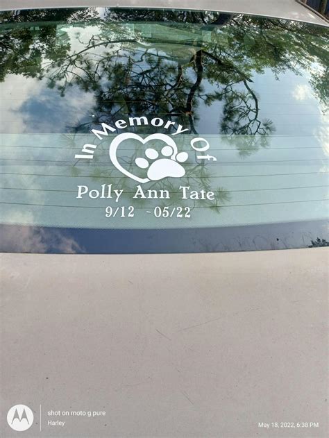 In Memory Decal – Pet Heart | MADE IN USA