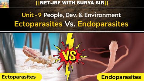 Difference between Endoparasites and Ectoparasites with examples| #suryasir #ugcnet #netjrf # ...