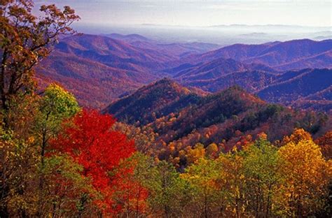 5 Places In Virginia You Have To Visit During Fall