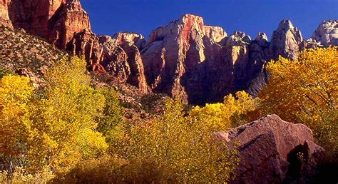 Zion National Park | The fall colors in the south canyon wit… | Flickr