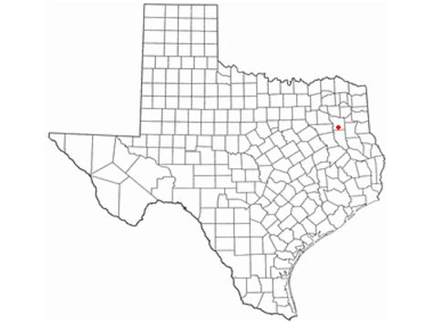 Whitehouse, TX - Geographic Facts & Maps - MapSof.net