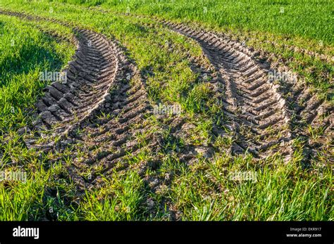 Tyre Tracks On Grass - Instituto