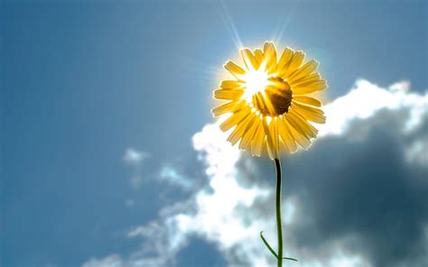 Hello Sunshine Wallpapers - Top Free Hello Sunshine Backgrounds - WallpaperAccess