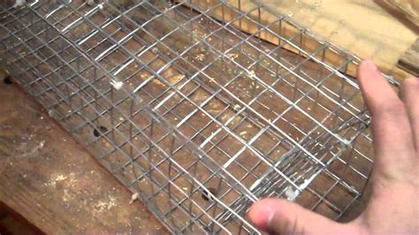 How to make a colony trap for muskrat - YouTube