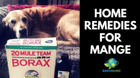 Home Remedies for Mange | Ted's Famous Borax for Mange Treatment - YouTube