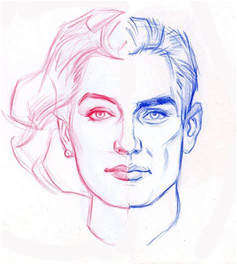 MALE FEMALE by AbdonJRomero on DeviantArt in 2023 | Face sketch, Face drawing, Portrait drawing