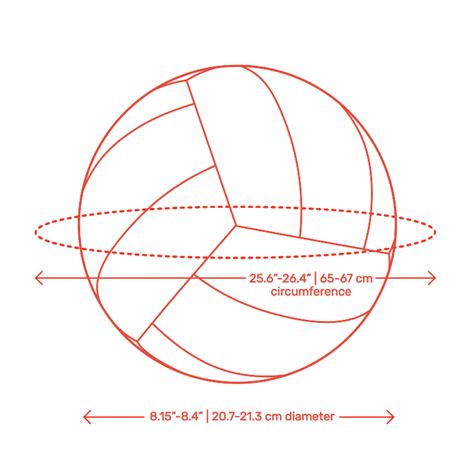 Understanding The Official Size Of A Volleyball: Measurement ...