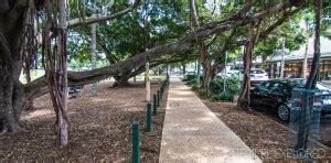 Weekend Photo Walk at Bulimba - Travel Explored