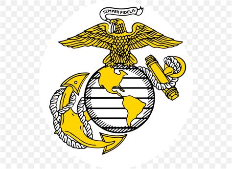 United States Of America United States Marine Corps Eagle, Globe, And Anchor Marines Vector ...