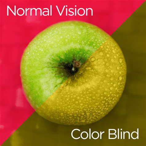 What Is Color Blindness | UPMC HealthBeat