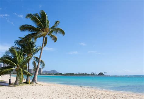 The Most Beautiful Beaches In Honolulu, HI | CuddlyNest