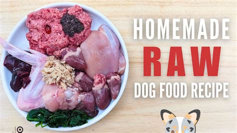 Recipe For Raw Dog Food Factory Sale | centralcountiesservices.org