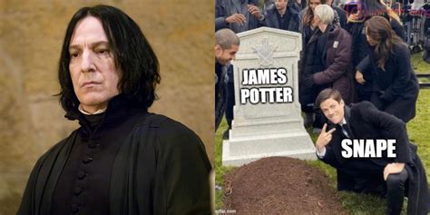 Manga Harry Potter: 10 Memes That Perfectly Sum Up Snape As A Character ...