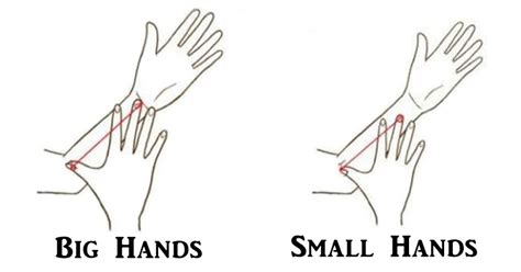 THIS Is What Your Hand Size Says About Your Personality! - DavidWolfe.com